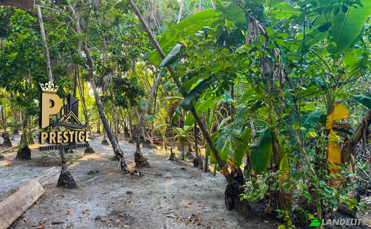 Villa for Sale Bacalar Chico, Belize. Photo 23