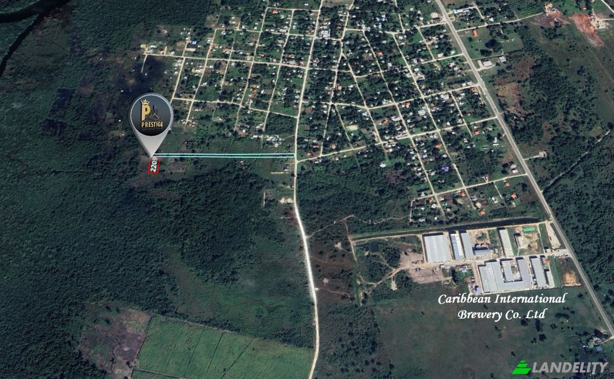 Land Lot for Sale Carmelita, Orange Walk District, Belize. Photo 2