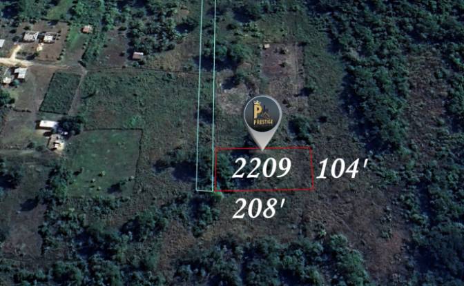 Land Lot for Sale Carmelita, Orange Walk District. Photo#6 Land Lot for Sale Carmelita, Orange Walk District. Photo#6