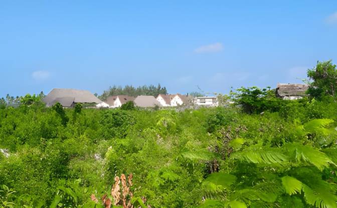 Land Lot for Sale Paje, Kusini. Photo#2