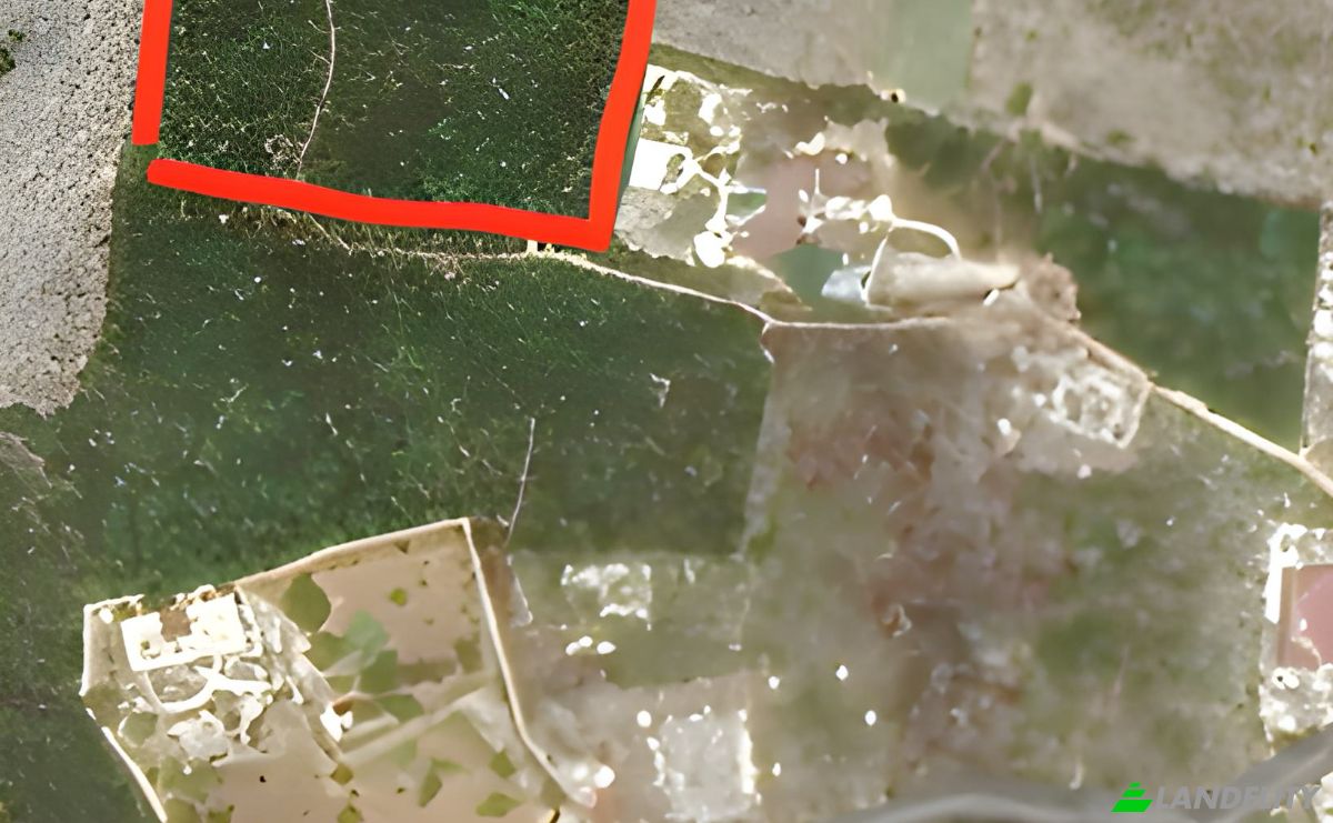 Land Lot for Sale Paje, Kusini, Unguja South Region, Tanzania. Photo 3