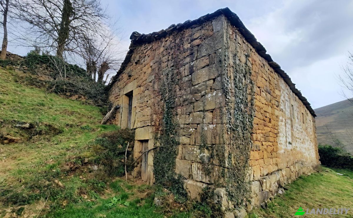 Farm/Ranch for Sale Barrio Sota, San Pedro del Romeral, Vega de Pas, Cantabria, Spain. Photo 4