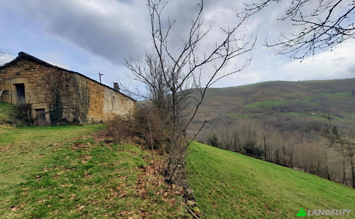 Farm/Ranch for Sale Barrio Sota, San Pedro del Romeral, Vega de Pas, Cantabria, Spain. Photo 6