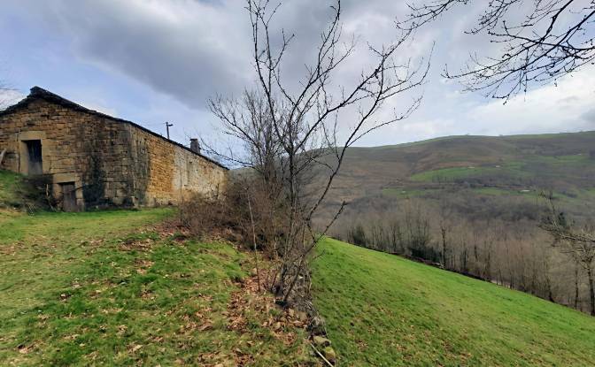 Farm/Ranch for Sale Barrio Sota. Photo#6 Farm/Ranch for Sale Barrio Sota. Photo#6