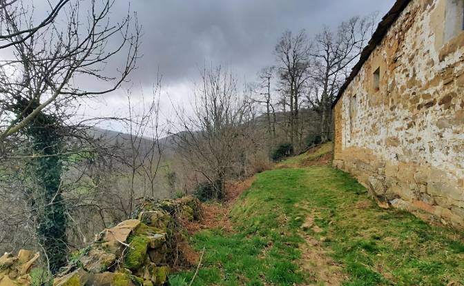 Farm/Ranch for Sale Barrio Sota. Photo#7 Farm/Ranch for Sale Barrio Sota. Photo#7