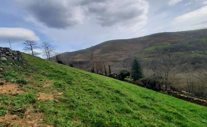 Farm/Ranch for Sale Barrio Sota. Photo#8 Farm/Ranch for Sale Barrio Sota. Photo#8