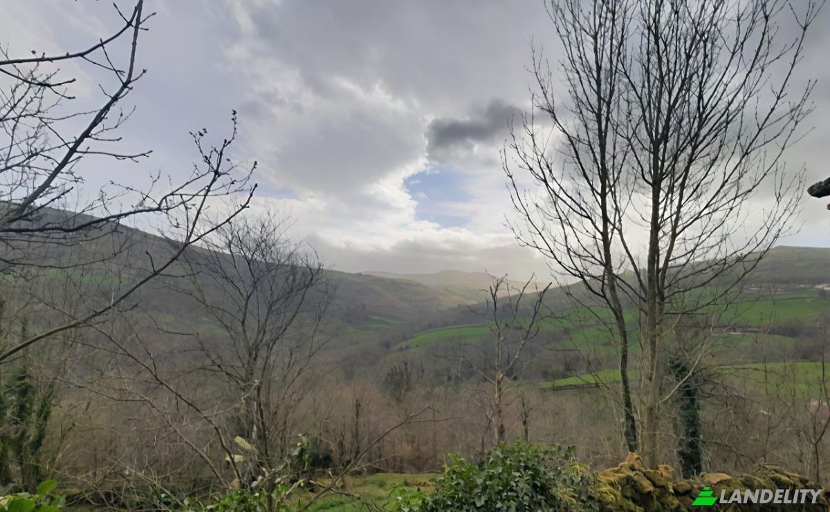 Farm/Ranch for Sale Barrio Sota, San Pedro del Romeral, Vega de Pas, Cantabria, Spain. Photo 9