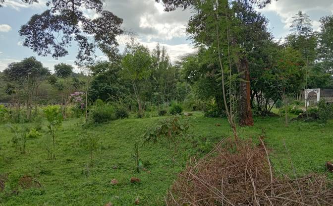Investimento/Desenvolvimento à venda Nairobi. foto#2