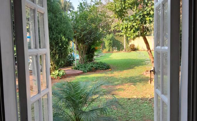 Single Family Home for Sale Leocadio Leguizamon. Photo#14