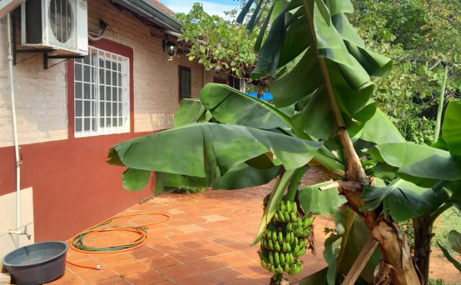 Single Family Home for Sale Leocadio Leguizamon. Photo#19