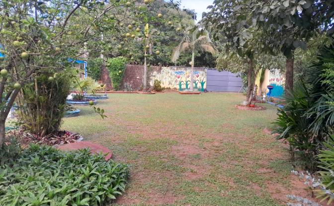 Single Family Home for Sale Leocadio Leguizamon. Photo#20