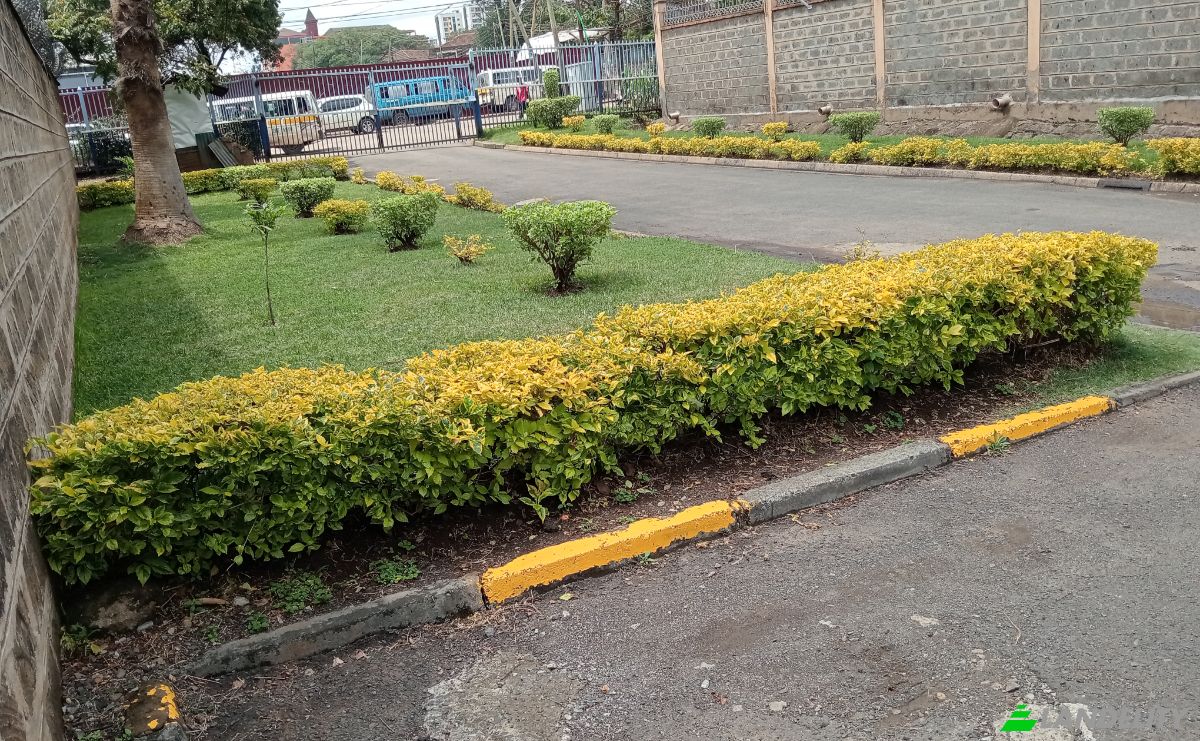 Apartment for Sale Joseph Kangethe Rd, Nairobi, Dagoretti, Nairobi County, Kenya. Photo 3