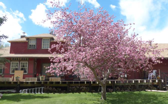 Single Family Home for Sale 271003 Township Rd 110. Photo#6 Single Family Home for Sale 271003 Township Rd 110. Photo#6