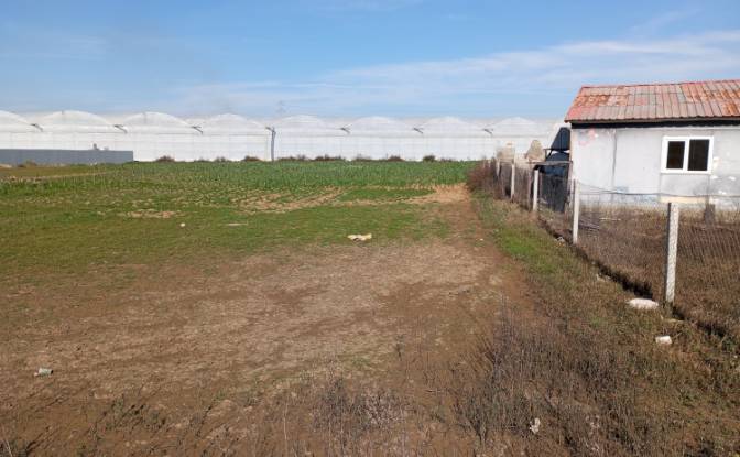 Land Lot for Sale Yavrudogan, Isimsiz Yol. Photo#3 Land Lot for Sale Yavrudogan, Isimsiz Yol. Photo#3