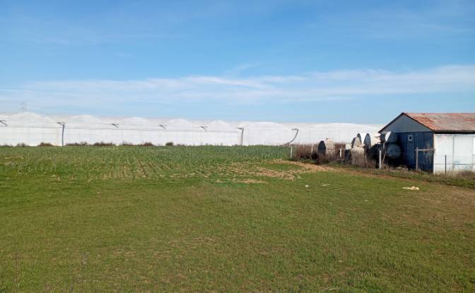 Land Lot for Sale Yavrudogan, Isimsiz Yol. Photo#4 Land Lot for Sale Yavrudogan, Isimsiz Yol. Photo#4