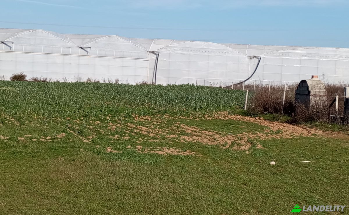 Land Lot for Sale Yavrudogan, Isimsiz Yol, 07550 Manavgat Antalya, Side, Manavgat, Antalya, Turkiye. Photo 5