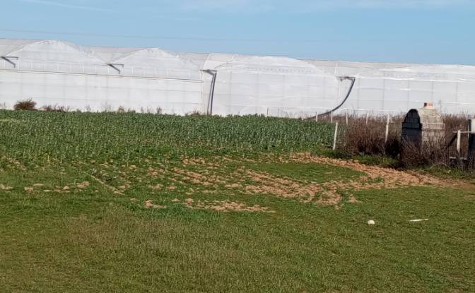 Land Lot for Sale Yavrudogan, Isimsiz Yol. Photo#5 Land Lot for Sale Yavrudogan, Isimsiz Yol. Photo#5