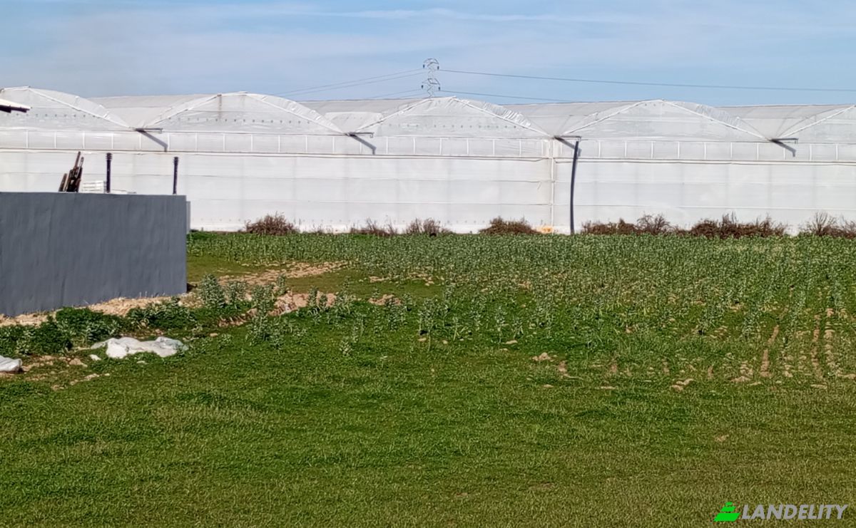 Land Lot for Sale Yavrudogan, Isimsiz Yol, 07550 Manavgat Antalya, Side, Manavgat, Antalya, Turkiye. Photo 6