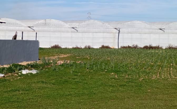 Land Lot for Sale Yavrudogan, Isimsiz Yol. Photo#6 Land Lot for Sale Yavrudogan, Isimsiz Yol. Photo#6