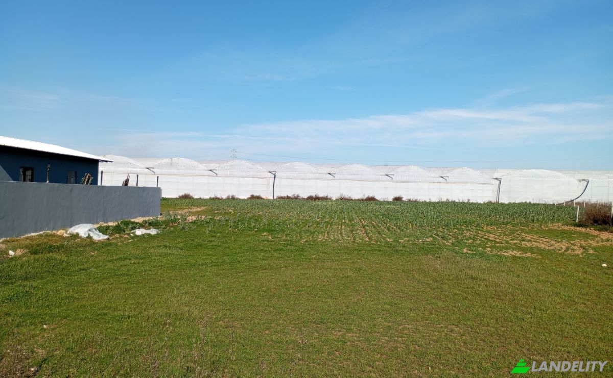Land Lot for Sale Yavrudogan, Isimsiz Yol, 07550 Manavgat Antalya, Side, Manavgat, Antalya, Turkiye. Photo 7