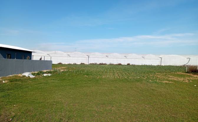 Land Lot for Sale Yavrudogan, Isimsiz Yol. Photo#7 Land Lot for Sale Yavrudogan, Isimsiz Yol. Photo#7