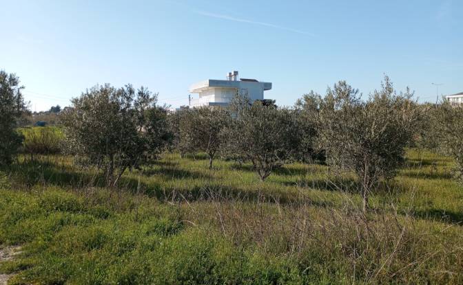 Land Lot for Sale - Colakli, Turkiye