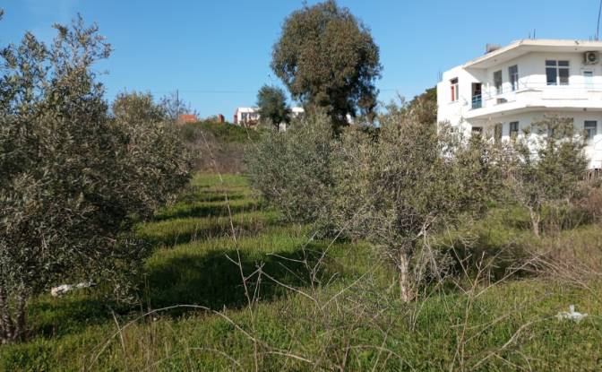 Land Lot for Sale Colakli, Manavgat, Antalya. Photo#2 Land Lot for Sale Colakli, Manavgat, Antalya. Photo#2