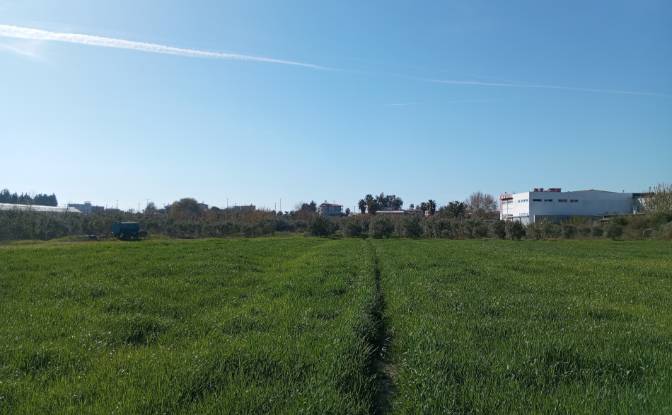 Land Lot for Sale - Colakli, Turkiye
