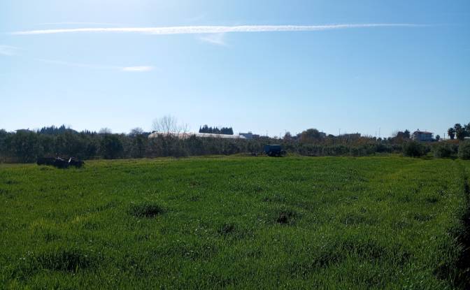 Land Lot for Sale Uctepeler Mahallsi 2106 Sokak No. Photo#3