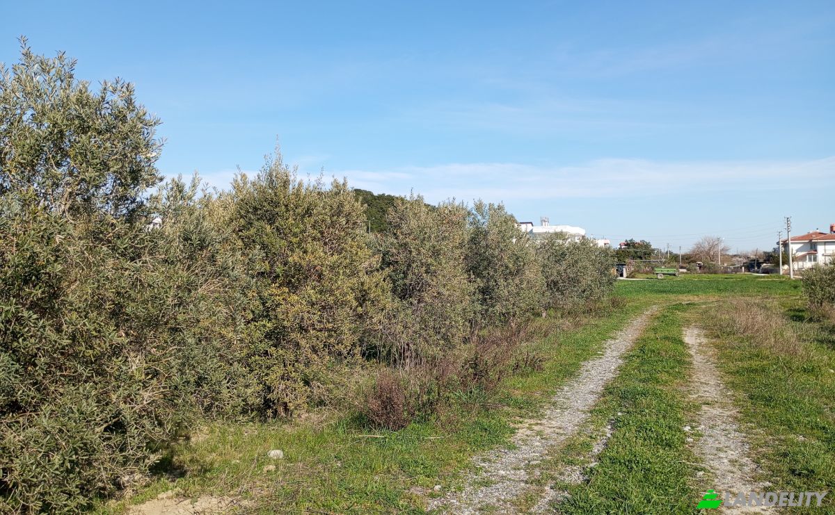 Land Lot for Sale Uctepeler Mahallsi 2106 Sokak No 7 b Colakli Kasabasi, Colakli, Manavgat, Antalya, Turkiye, 07550 Manavgat Antalya. Photo 4
