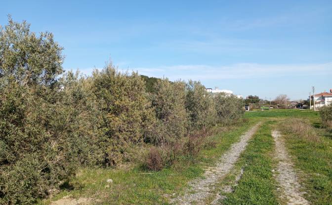 Land Lot for Sale Uctepeler Mahallsi 2106 Sokak No. Photo#4