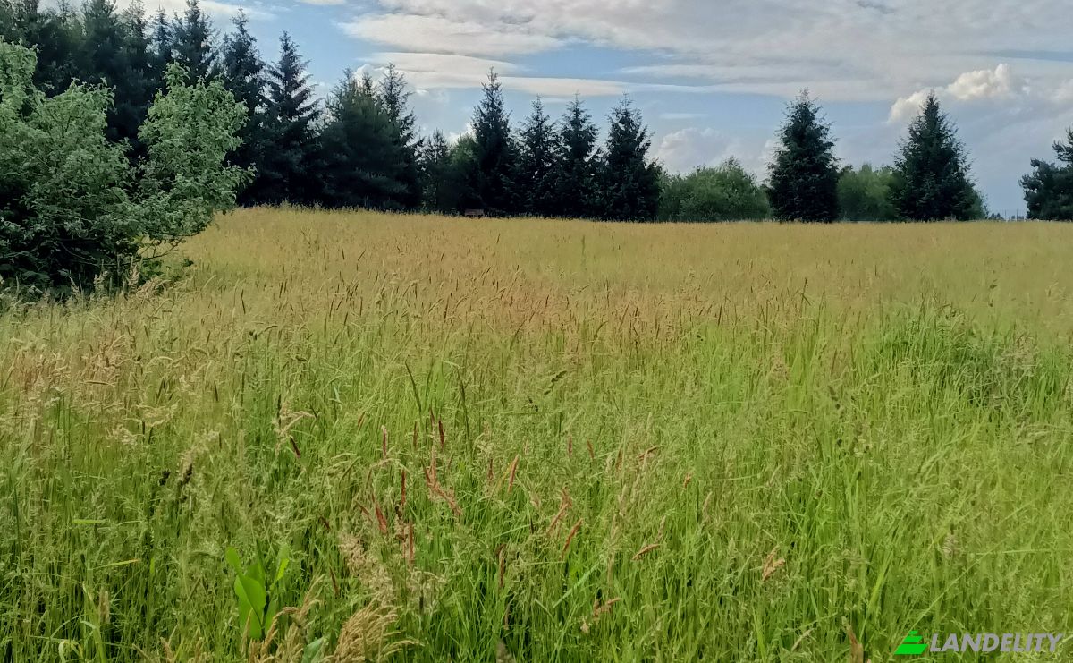 Single Family Home for Sale Niwa 81, 37-631, Czerniawka, Lubaczow County, Podkarpackie Voivodeship, Poland. Photo 8