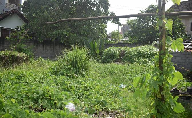 Lotto di terreno in vendita Tibubeneng, Kuta Utara. Foto#7