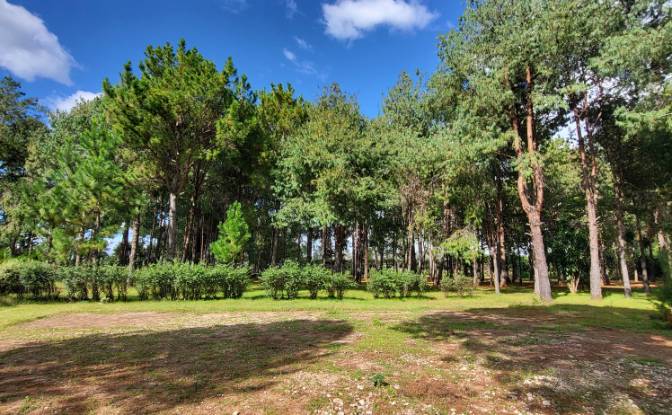 Mansion for Sale RN7, Ambohimanamora, Antsirabe I. Photo#15 Mansion for Sale RN7, Ambohimanamora, Antsirabe I. Photo#15