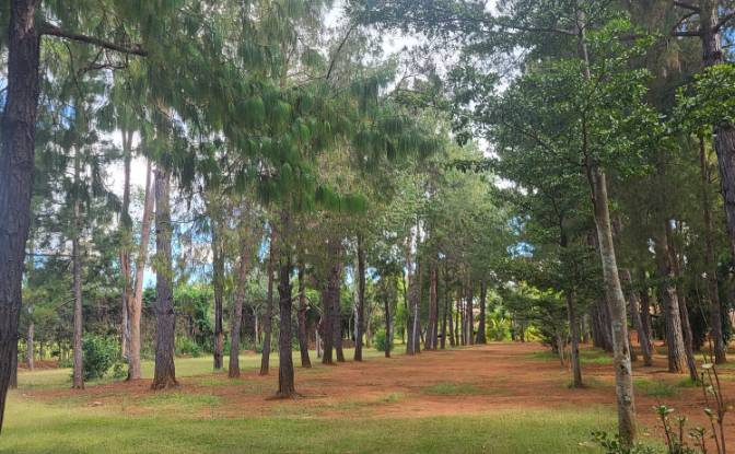 Mansion for Sale RN7, Ambohimanamora, Antsirabe I. Photo#17 Mansion for Sale RN7, Ambohimanamora, Antsirabe I. Photo#17