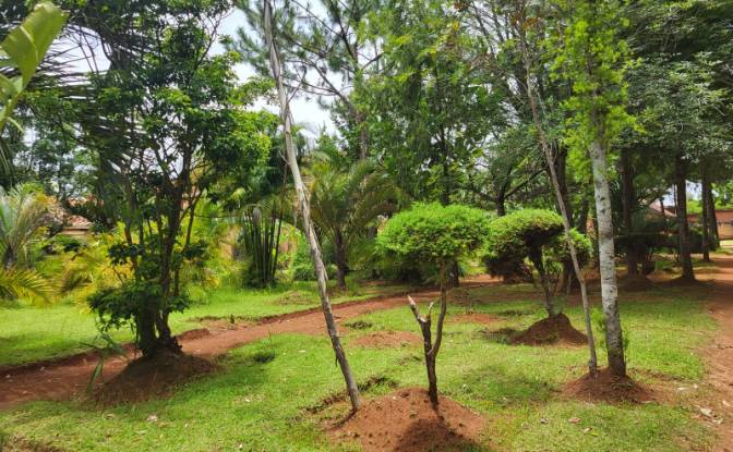 Mansion for Sale RN7, Ambohimanamora, Antsirabe I. Photo#3 Mansion for Sale RN7, Ambohimanamora, Antsirabe I. Photo#3