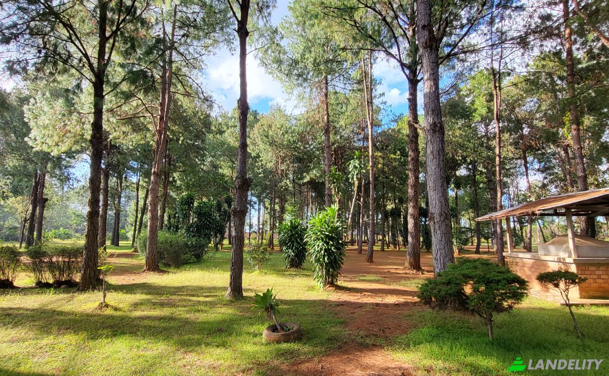 Mansion for Sale RN7, Ambohimanamora, Antsirabe I, Vakinankaratra, Madagascar. Photo 12