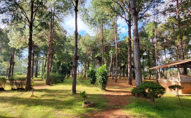 Mansion for Sale RN7, Ambohimanamora, Antsirabe I. Photo#12 Mansion for Sale RN7, Ambohimanamora, Antsirabe I. Photo#12