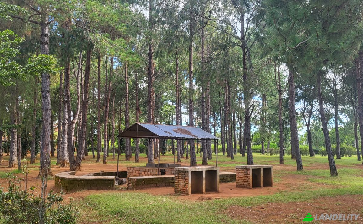Mansion for Sale RN7, Ambohimanamora, Antsirabe I, Vakinankaratra, Madagascar. Photo 14