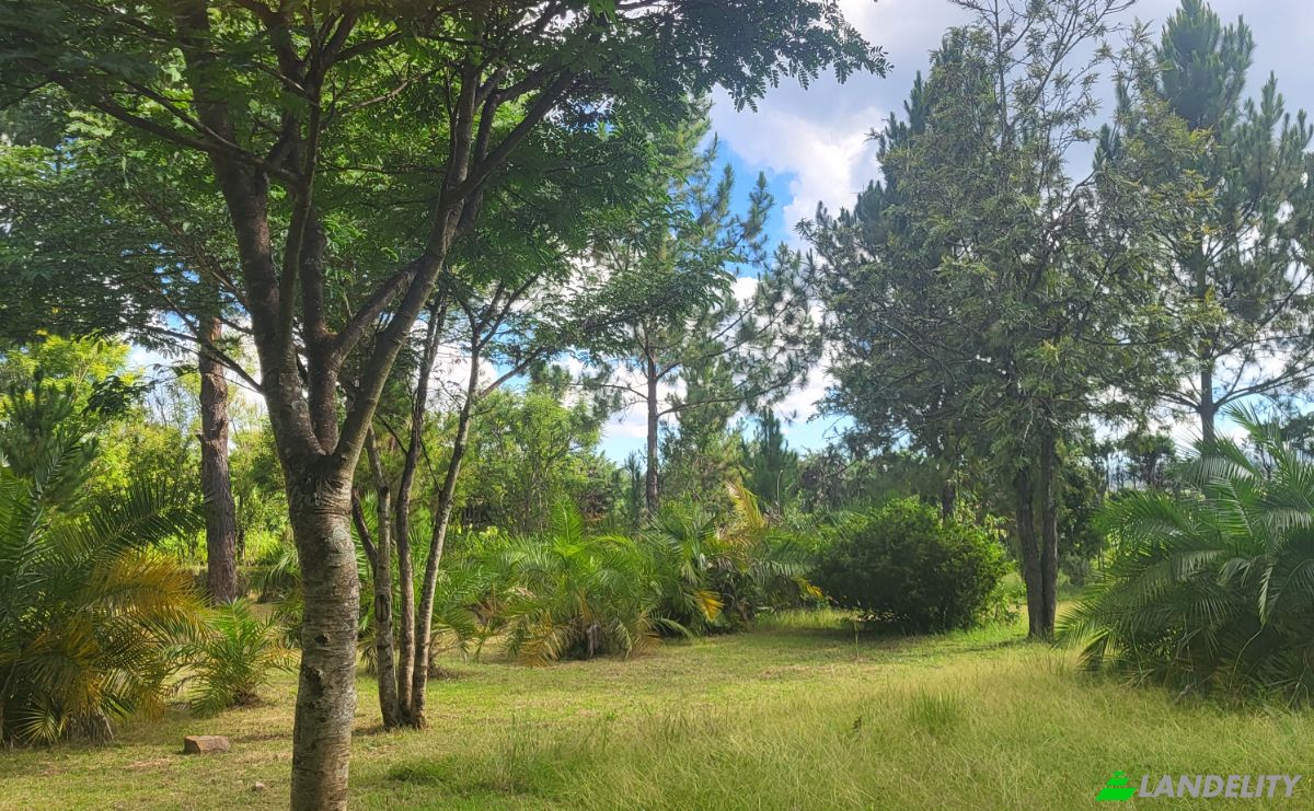 Mansion for Sale RN7, Ambohimanamora, Antsirabe I, Vakinankaratra, Madagascar. Photo 9