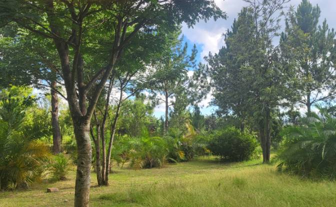 Mansion for Sale RN7, Ambohimanamora, Antsirabe I. Photo#9 Mansion for Sale RN7, Ambohimanamora, Antsirabe I. Photo#9
