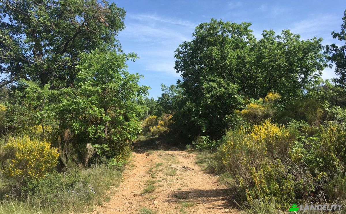 Single Family Home for Sale 3 Bourdas, 83560 Saint-Julien, Saint-Julien, Var, Provence-Alpes-Cote dAzur, France. Photo 9