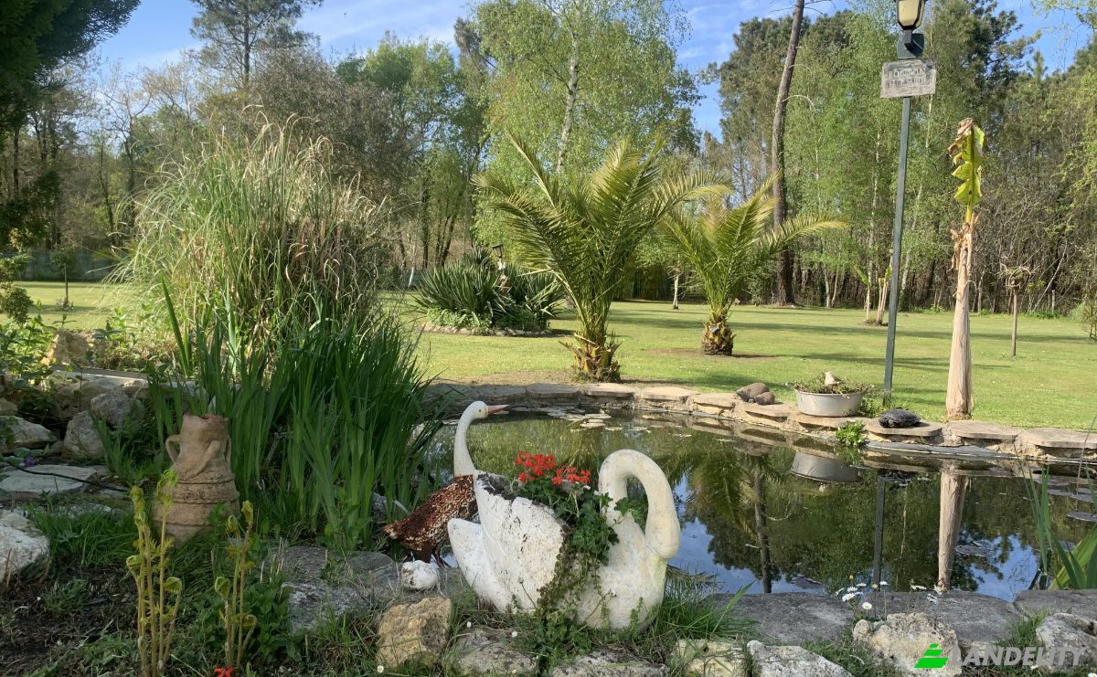 Tijd delen Te koop 340 Le Dehes, 33930 Vendays-Montalivet, Vendays-Montalivet, Gironde, Nouvelle-Aquitaine, France. Foto 10