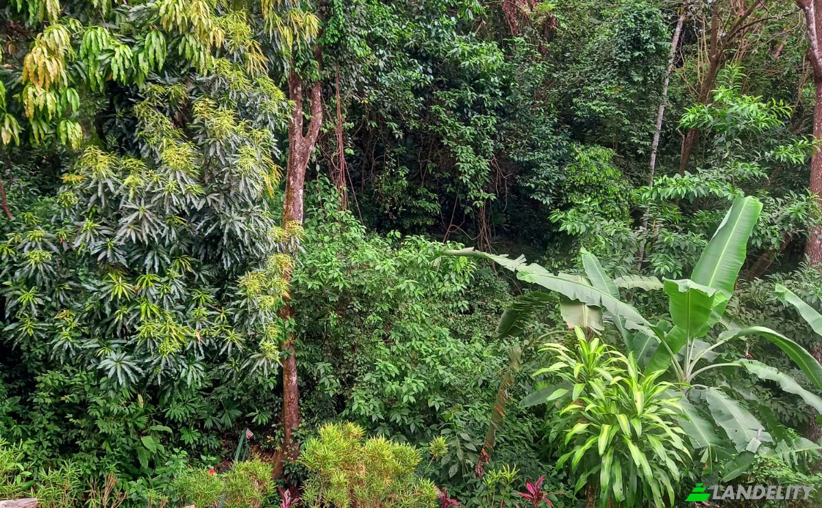 Investing/Development for Sale Quepos, Puntarenas Province, Costa Rica. Photo 4