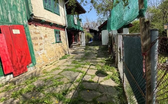 Farm/Ranch for Sale Put Bez Ime, 5441, Marinovtsi. Photo#3