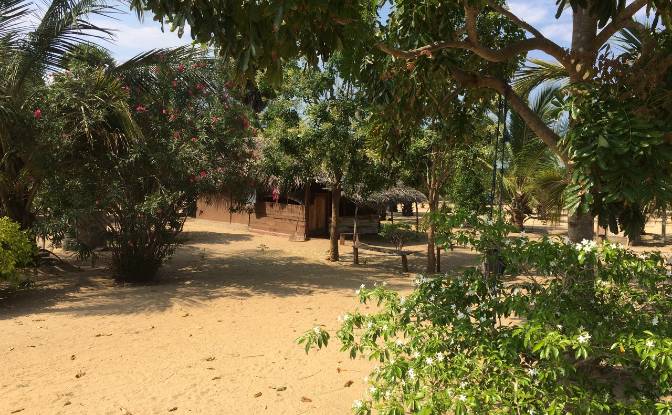 Land Lot for Sale - Pottuvil, Sri Lanka