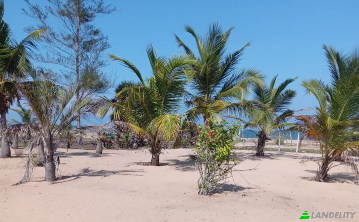 Działka na sprzedaż Pottuvil, Ampara, Eastern Province, Sri Lanka. Zdjęcie 2