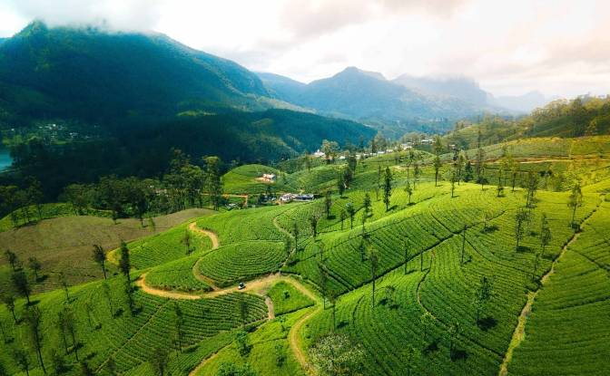 Land Lot for Sale - Maskeliya, Sri Lanka