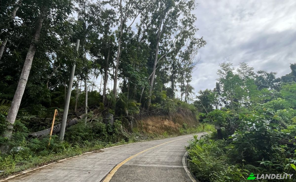 Land Lot for Sale Loboc, Bohol, Central Visayas, Philippines. Photo 12
