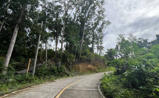 Land Lot for Sale Loboc, Bohol, Central Visayas. Photo#12 Land Lot for Sale Loboc, Bohol, Central Visayas. Photo#12